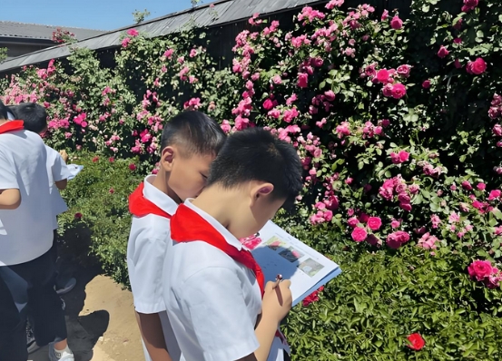 苏州玫瑰园：暑期公益研学“热”浪来袭